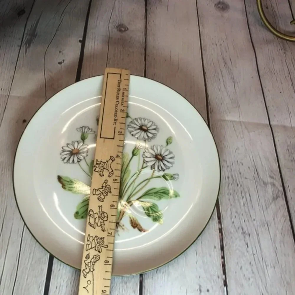 Vintage hand painted daisy plate